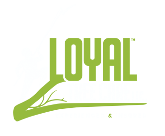 Loyal Tree Care